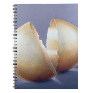 Cracked Bronze Age Egg Notebook