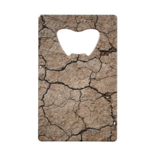 Cracked Dried Mud