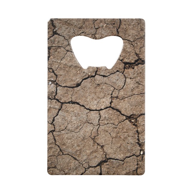 Cracked Dried Mud (Front)