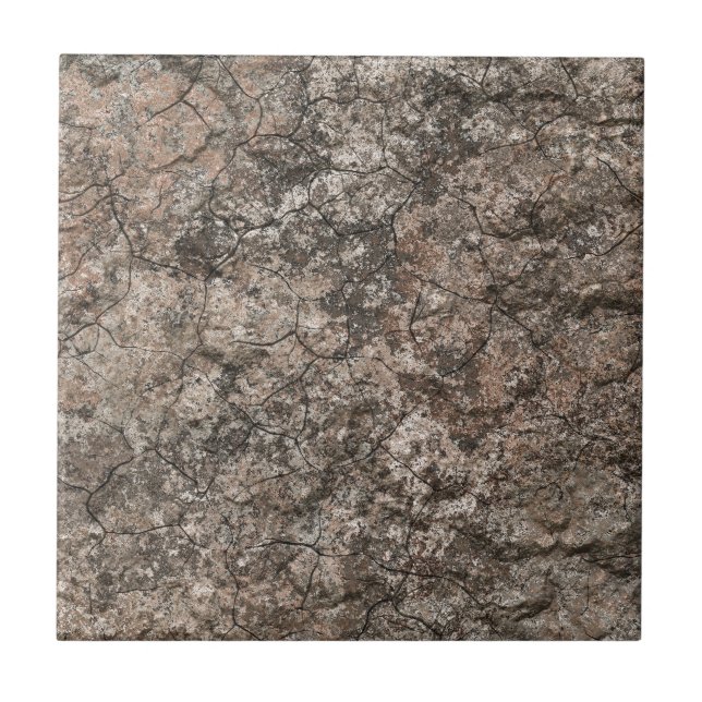 Cracked Dry Desert Ground Floor Texture Background Tile (Front)