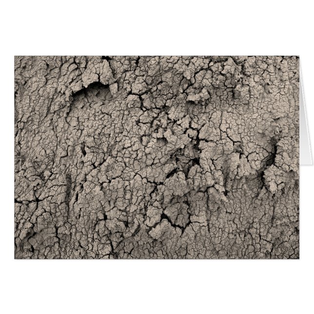 Cracked Earth Cool Texture (Front Horizontal)