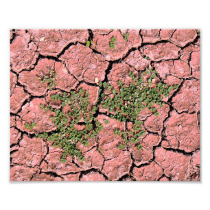Cracked Earth Cool Texture Photo Print