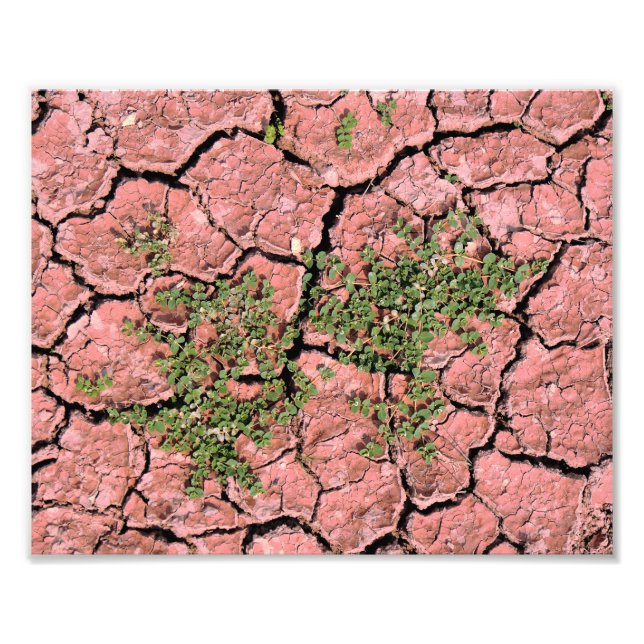 Cracked Earth Cool Texture Photo Print (Front)