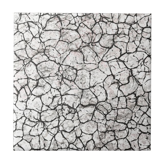 Cracked Marble Digital Pattern Tile (Front)