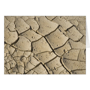 Cracked Mud formation in the Valley floor of 2
