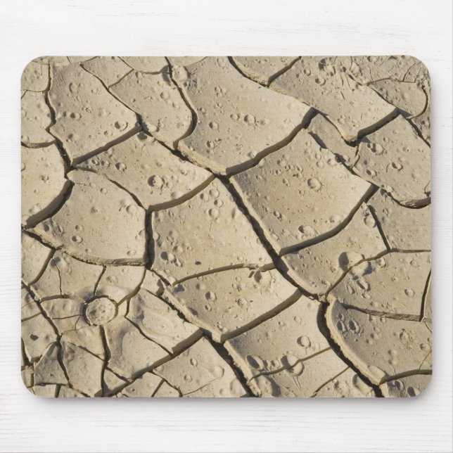 Cracked Mud formation in the Valley floor of 2 Mouse Mat (Front)