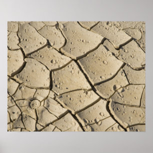 Cracked Mud formation in the Valley floor of 2 Poster