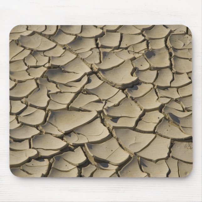Cracked Mud formation in the Valley floor of Mouse Mat (Front)