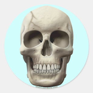 Cracked Skull Classic Round Sticker