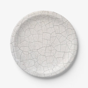 Cracked Surface Paper Plate