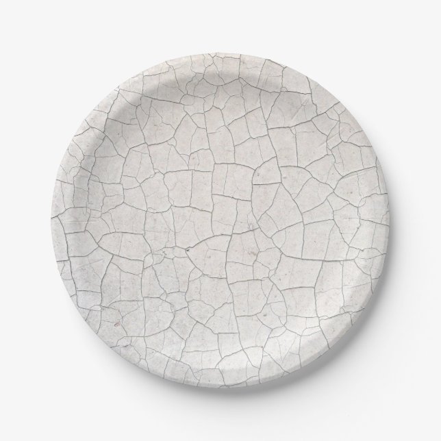 Cracked Surface Paper Plate (Front)