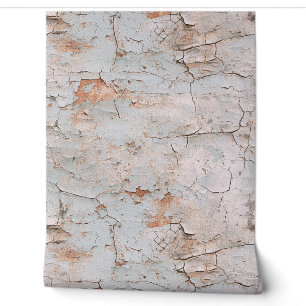 Cracked Textured Painted Stucco Wall