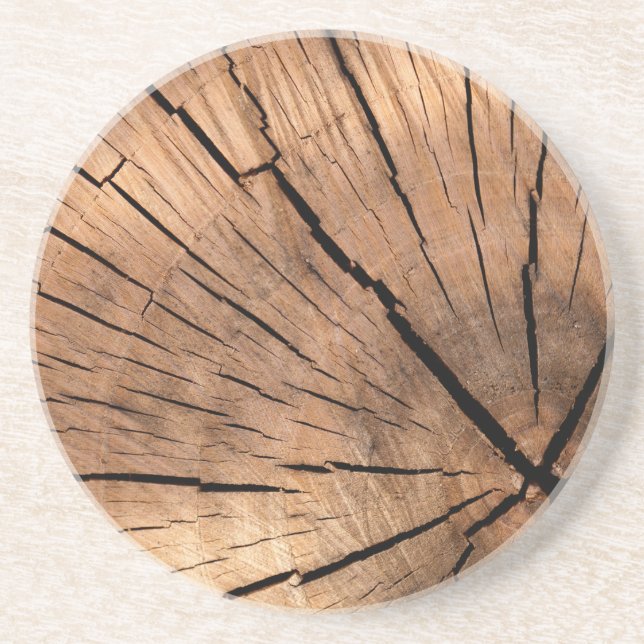 Cracked Wood Log Coaster (Front)