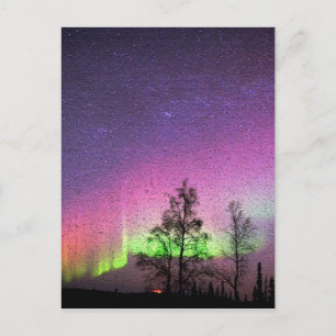 Crackle Texture Art Northern Lights Sky Alaska Postcard