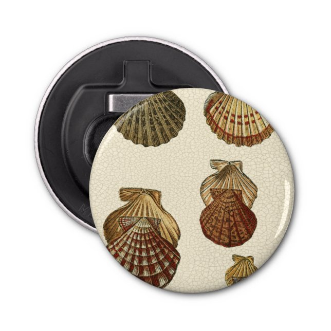 Crackled Antique Shells Bottle Opener (Front)