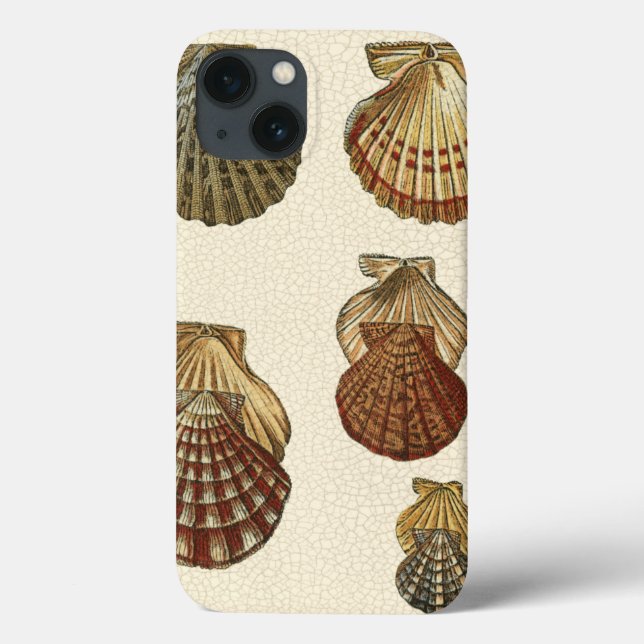 Crackled Antique Shells Case-Mate iPhone Case (Back)