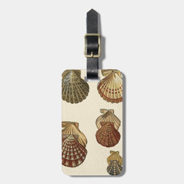 Crackled Antique Shells Luggage Tag (Front Vertical)