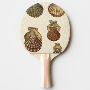 Crackled Antique Shells Ping Pong Paddle