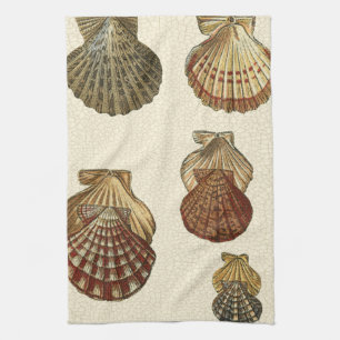 Crackled Antique Shells Tea Towel