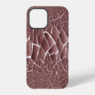 Cracks iPhone 12 pro case