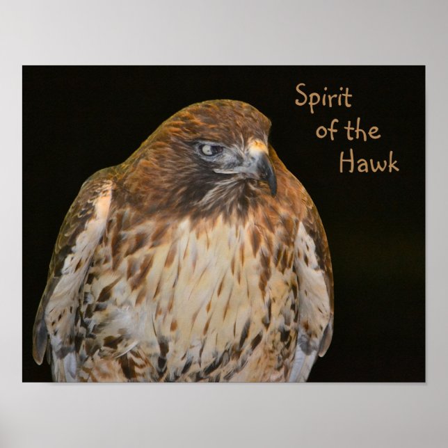 Crafty Hawk Poster (Front)