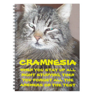 Cramnesia - Grumpy Crammed for the Finals Notebook