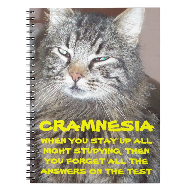 Cramnesia - Grumpy Crammed for the Finals Notebook (Front)