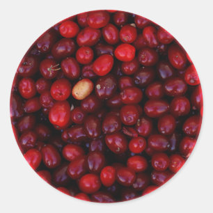 Cranberries Classic Round Sticker