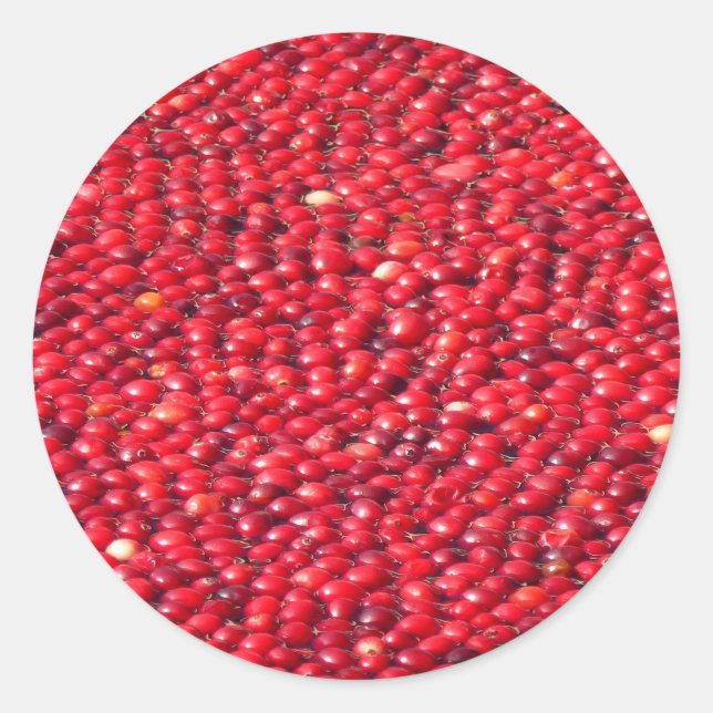 Cranberries Festive Red Classic Round Sticker (Front)