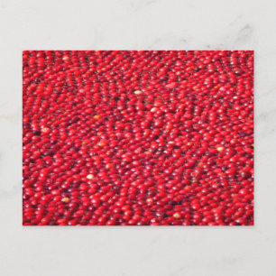 Cranberries Festive Red Postcard
