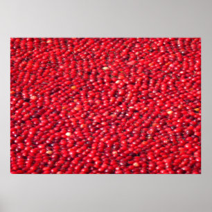 Cranberries Festive Red Poster