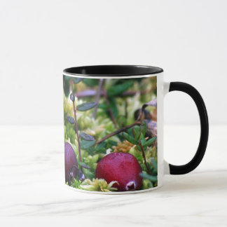 Cranberries Mug