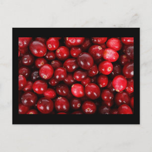 Cranberries Postcard