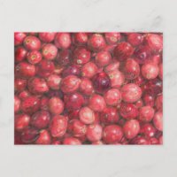 Cranberries Still Life