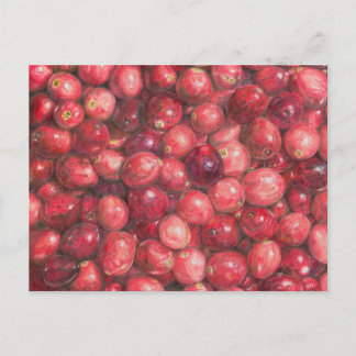 Cranberries Still Life Postcard