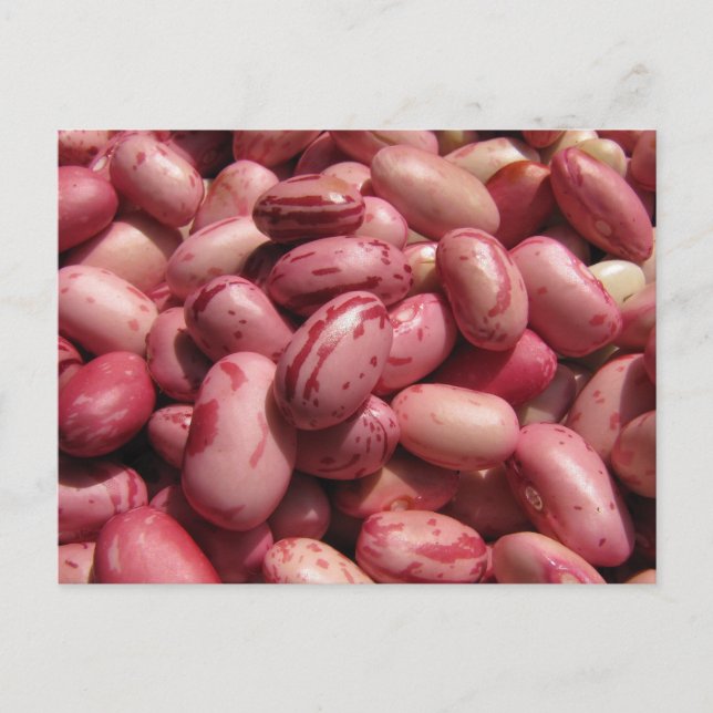 Cranberry Beans Postcard (Front)
