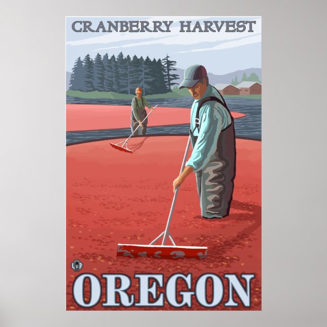 Cranberry Bogs Harvest Poster (Front)