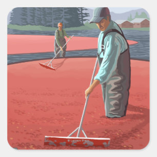 Cranberry Bogs Harvest Vintage Travel Poster Square Sticker