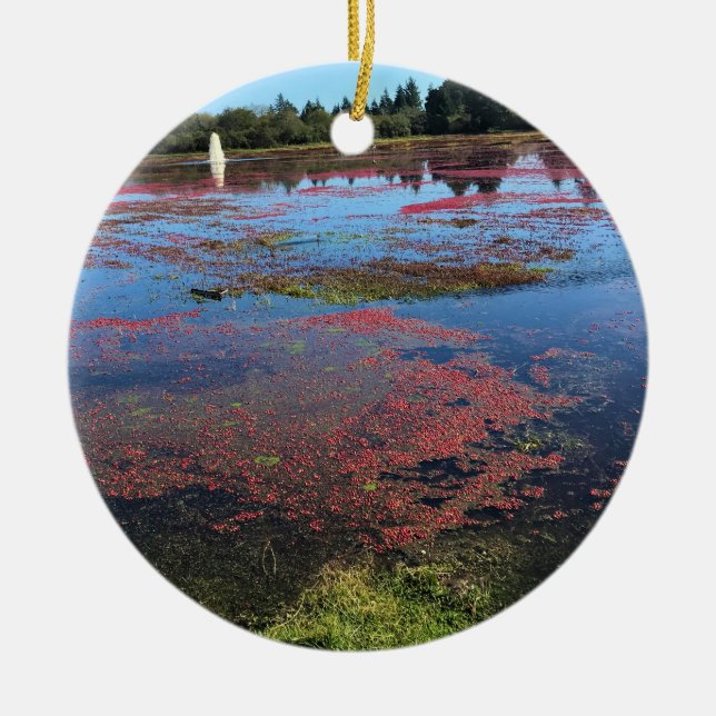 Cranberry Farm, Long Beach, Washington Ceramic Tree Decoration (Front)