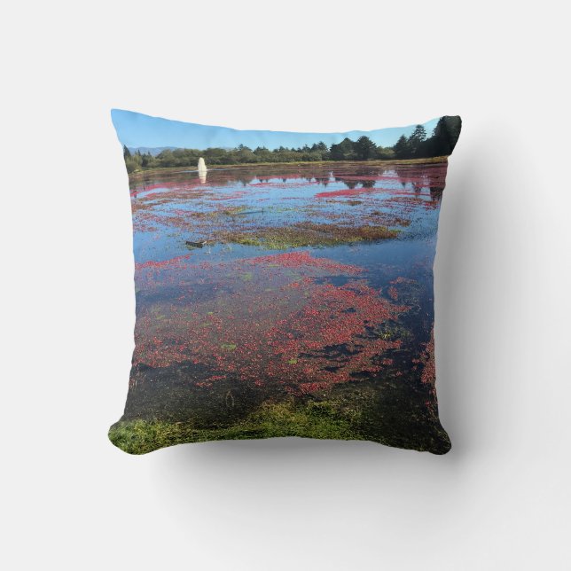 Cranberry Farm, Long Beach, Washington Cushion (Front)