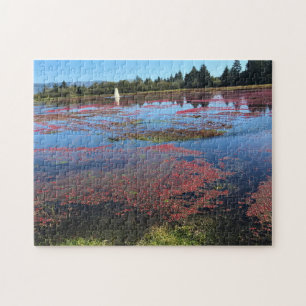 Cranberry Farm, Long Beach, Washington Jigsaw Puzzle