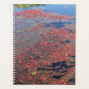 Cranberry Farm, Long Beach, Washington Planner