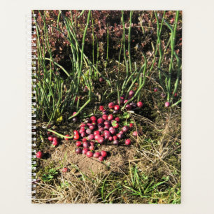 Cranberry Farm, Long Beach, Washington Planner