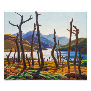 Cranberry Lake   Franklin Carmichael   Photo Print