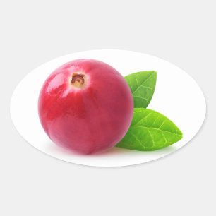 Cranberry Oval Sticker