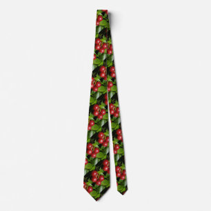 Cranberry Tie