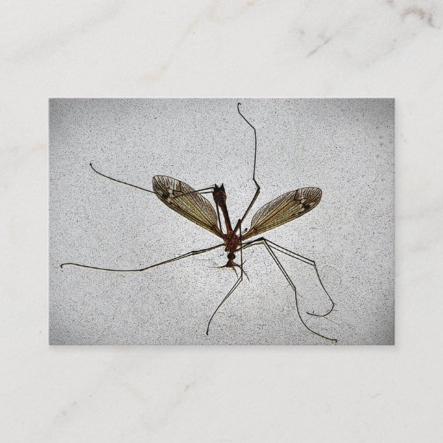 Crane Fly ATC Business Card (Front)