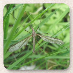 Crane Fly Cork Coaster