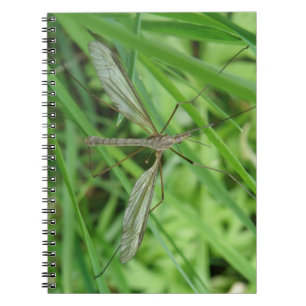 Crane Fly Notebook