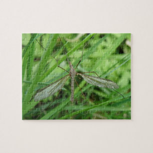 Crane Fly Puzzle